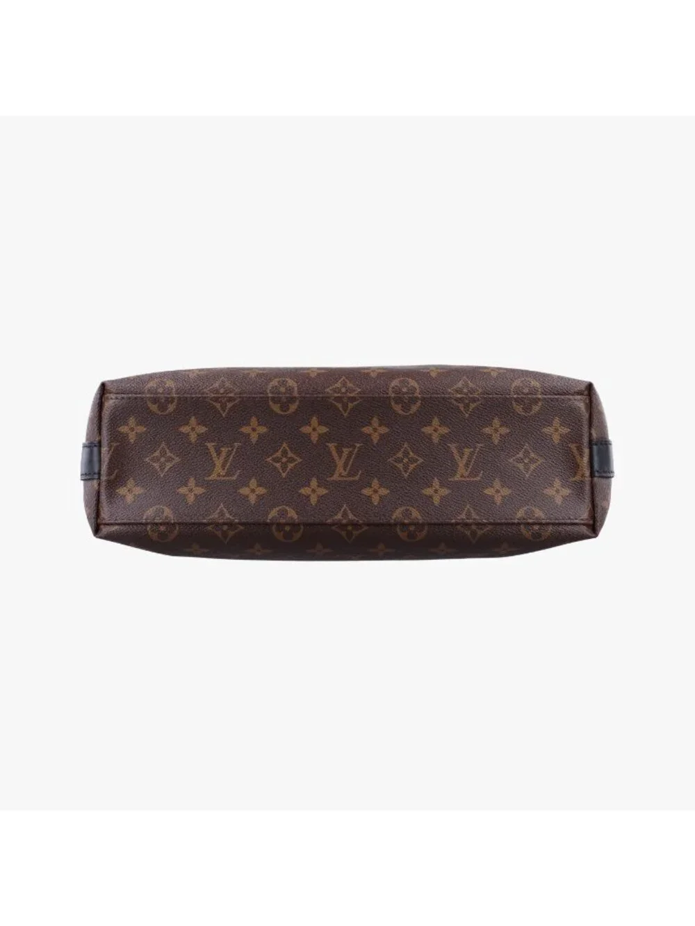 Louis Vuitton brand louis